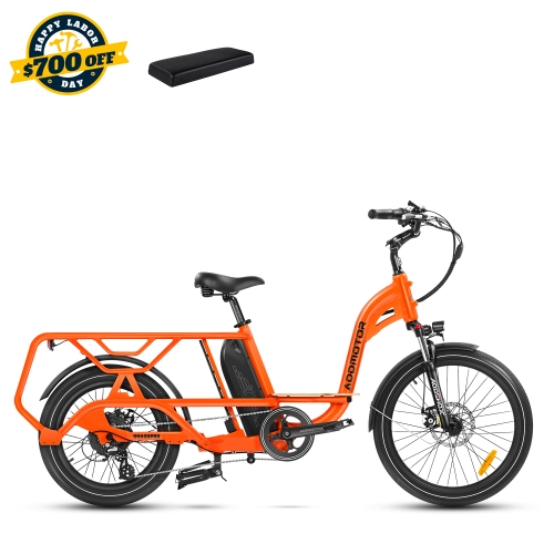 Graoopro Cargo eBike