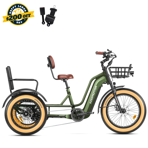 Greattan L Passenger eTrike