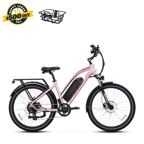 Citypro E-43 eBike